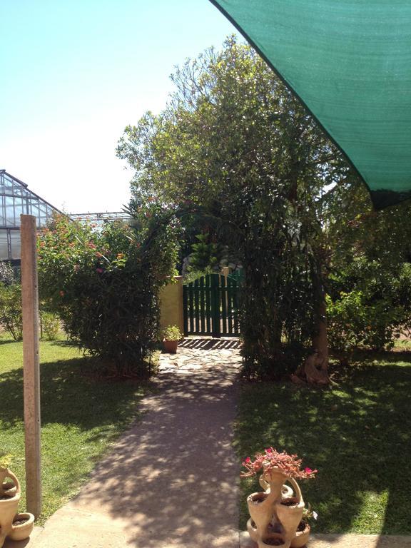 La Contea Bed & Breakfast Sant'Anna Arresi Exterior photo