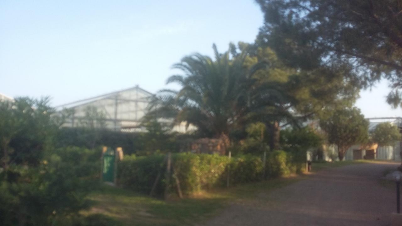 La Contea Bed & Breakfast Sant'Anna Arresi Exterior photo